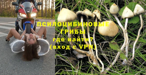 мет Алзамай