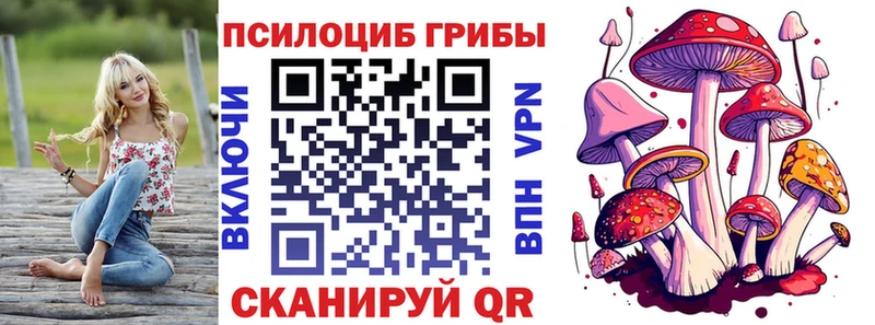 Галлюциногенные грибы Psilocybe  хочу   Крым 