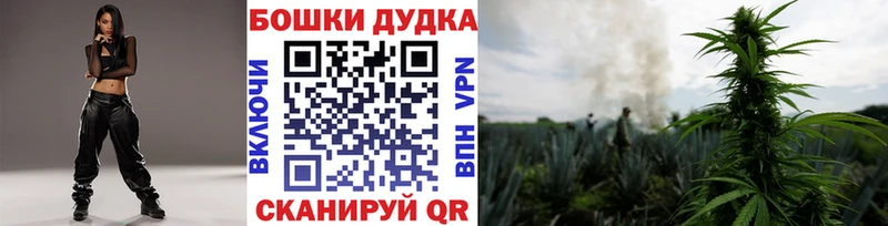 мега tor  Крым  Каннабис сатива 